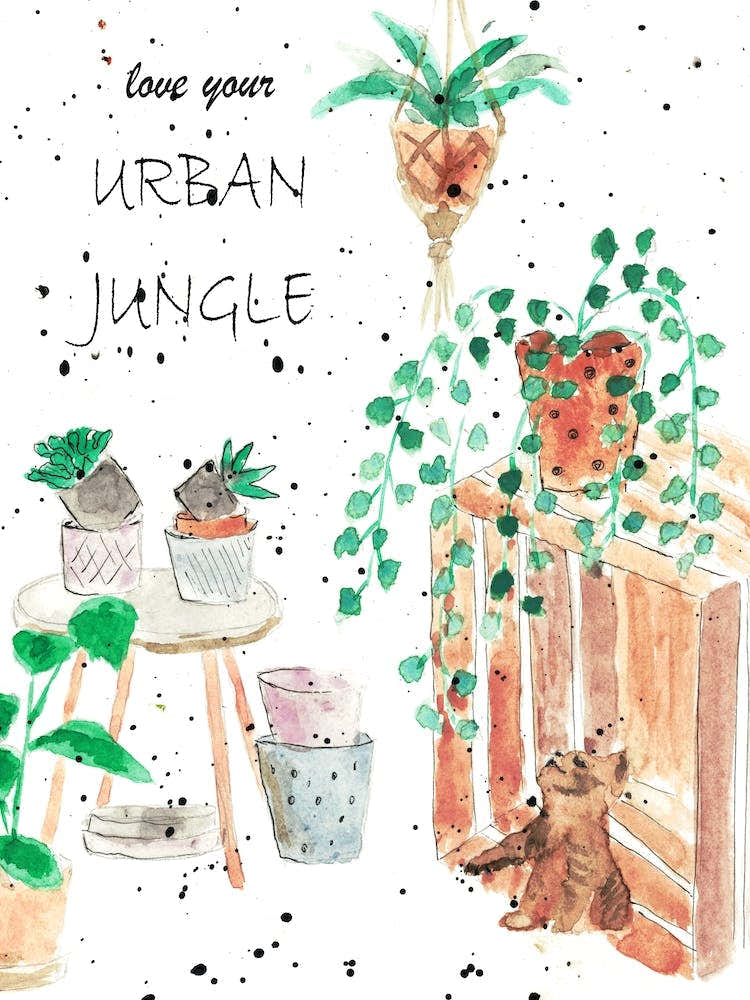 Urban Jungle