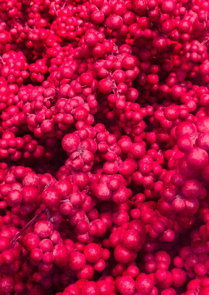 Fruity Pinkness