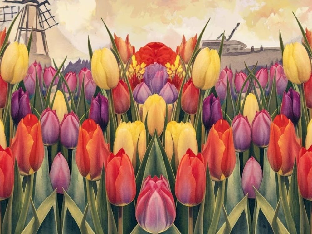 Colorful Tulip Meadow - Garden