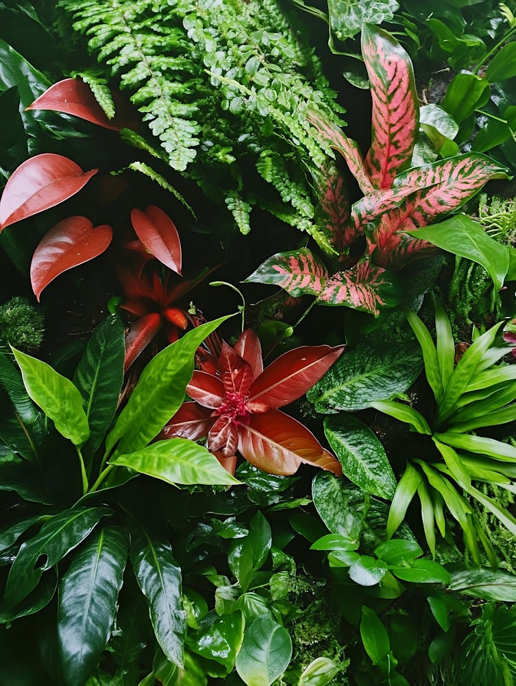 Fern Wall