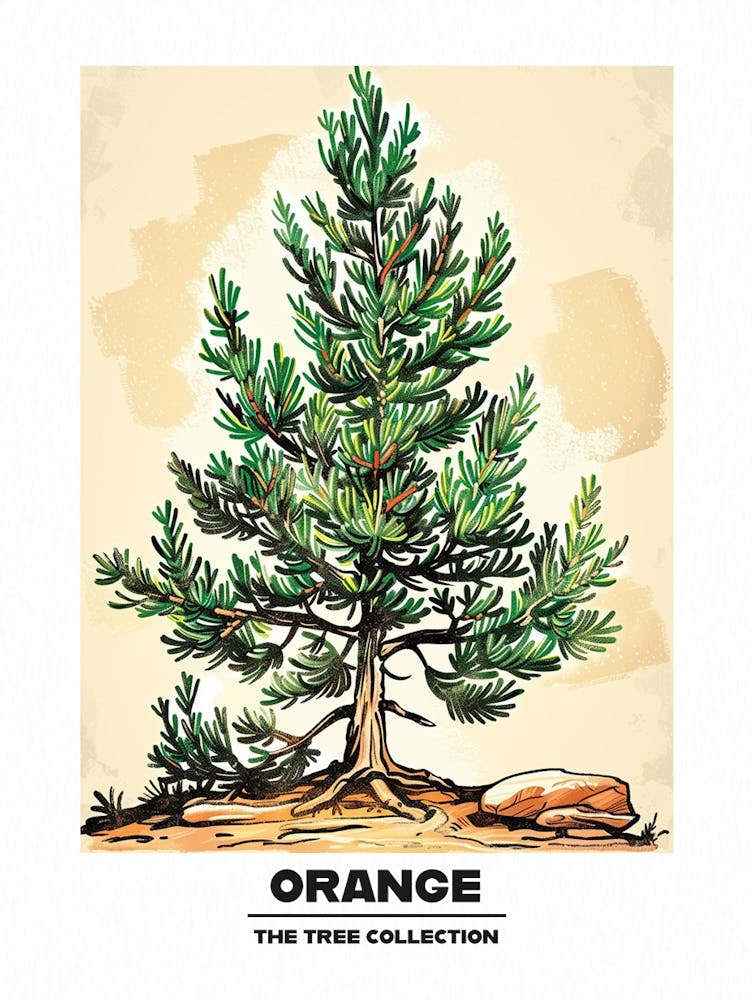 Orange Tree Storybook Illustration 3 Poster