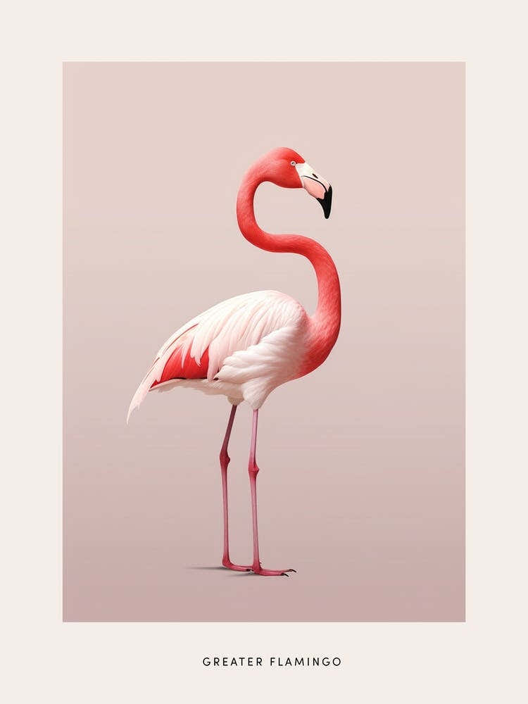 Minimalist Greater Flamingo 4 Bird Poster