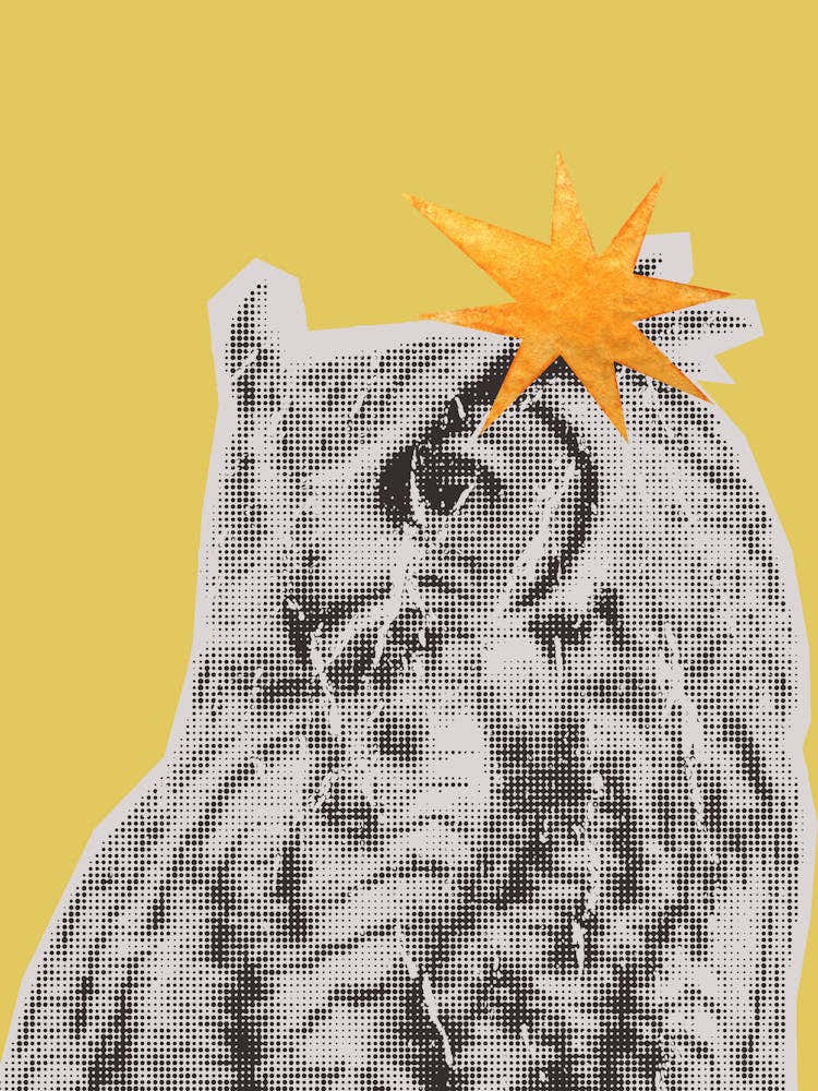Owl With Star