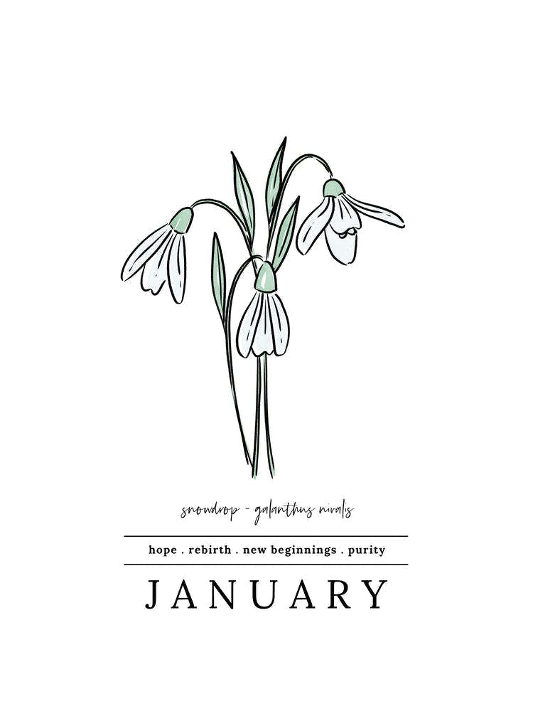 January Snowdrop Birth Flower 2
