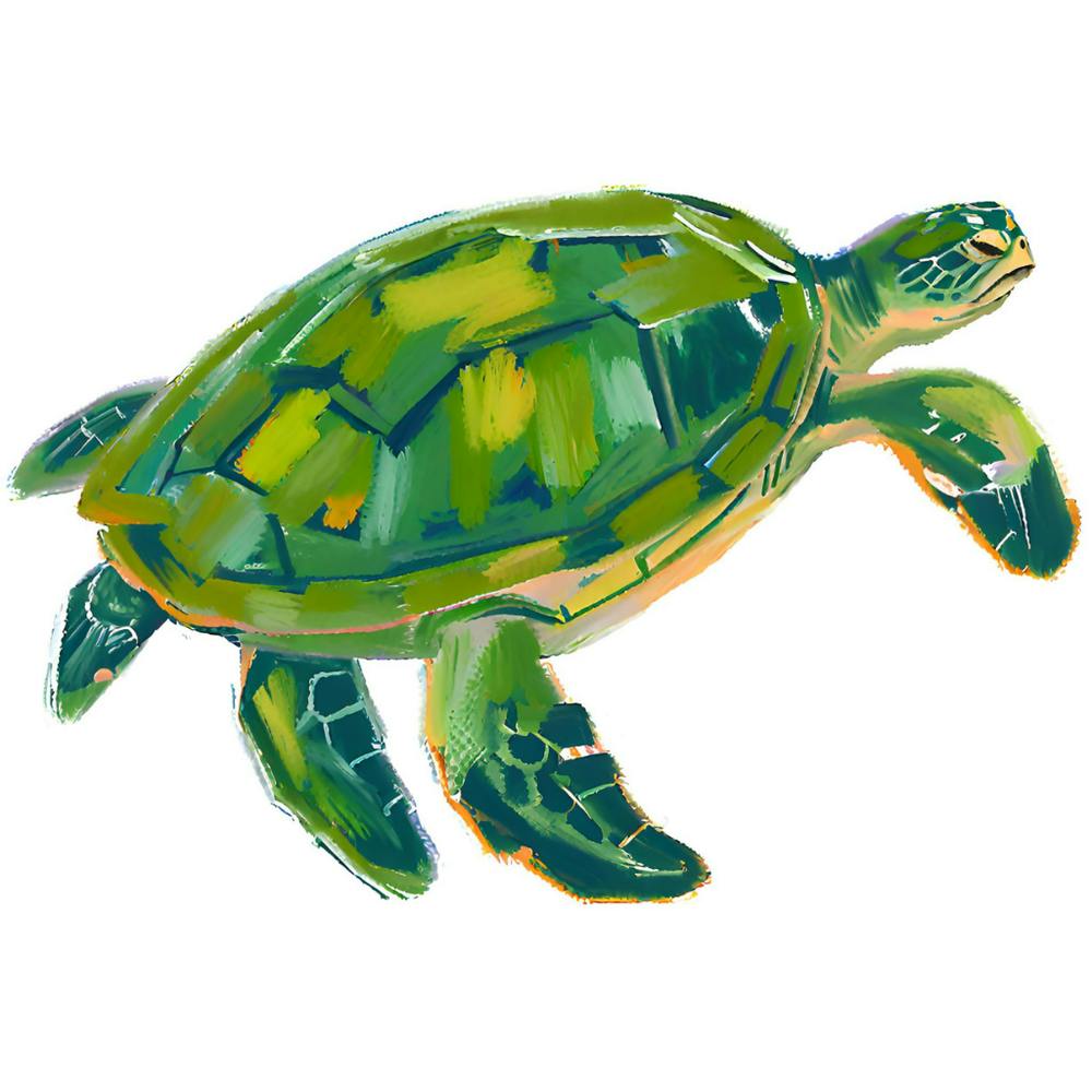 Green Sea Turtle 03