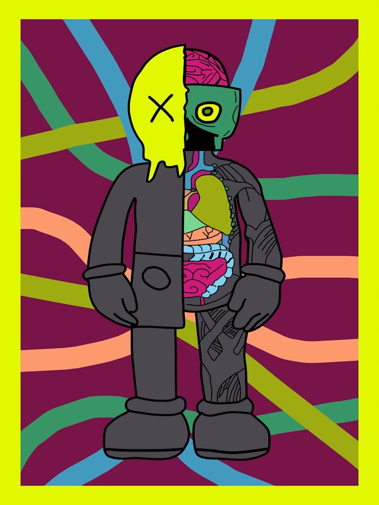 anatomy kaws