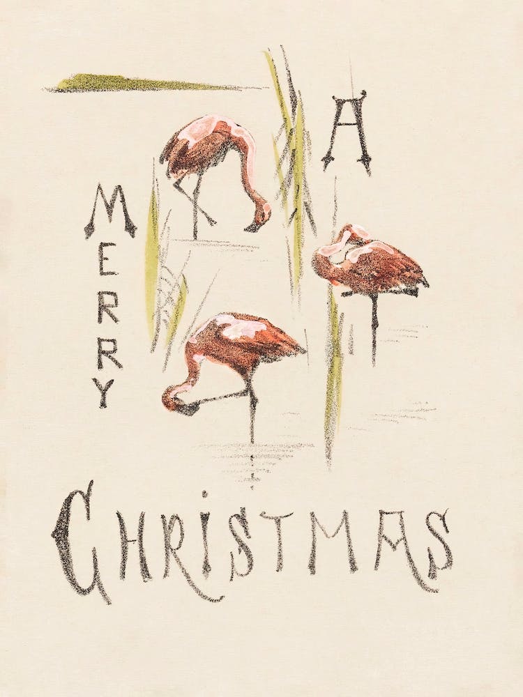 Christmas Card With Three Flamingos , Theo Van Hoytema