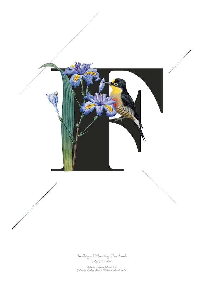 Botanical Alphabet F