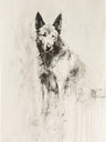 Art for The Dog Lover