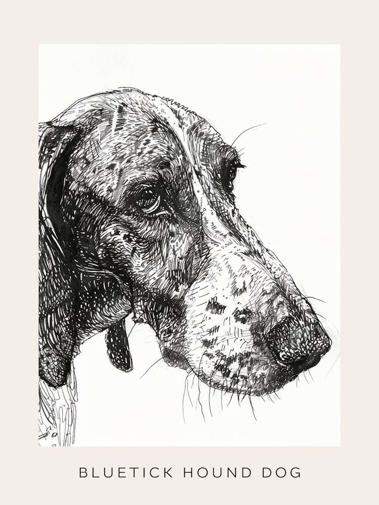 Bluetick Hound Dog Line Sketch 3 Poster