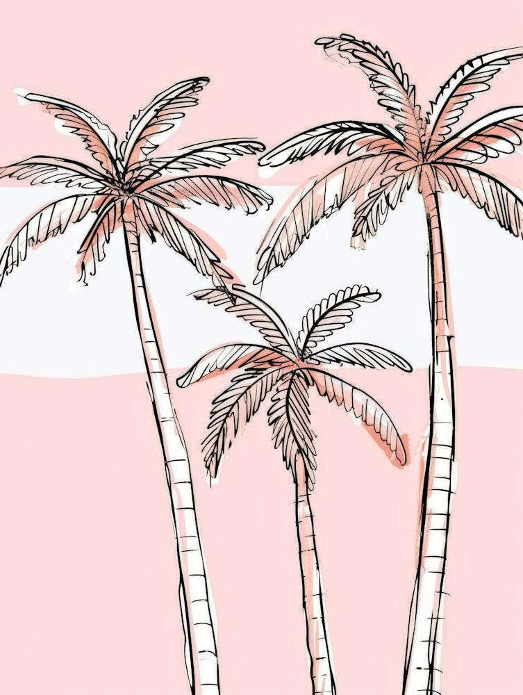 Palm Trees 63