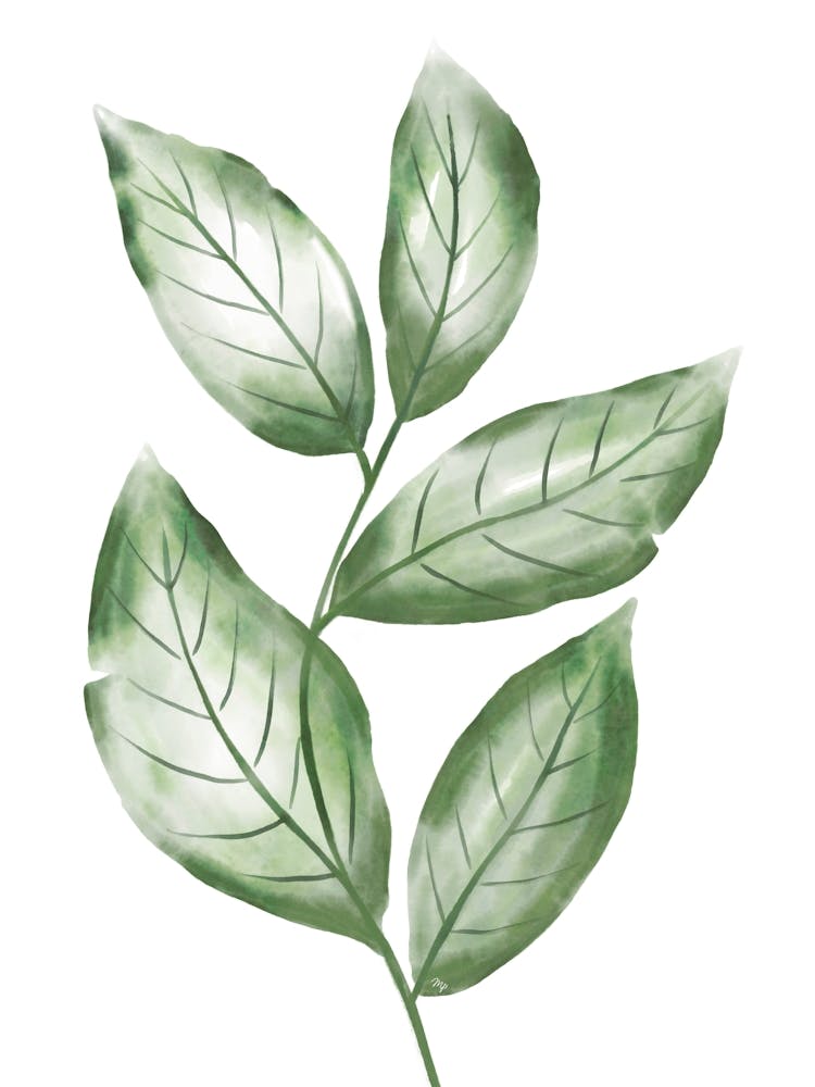 Green Watercolor Leaves - One Set