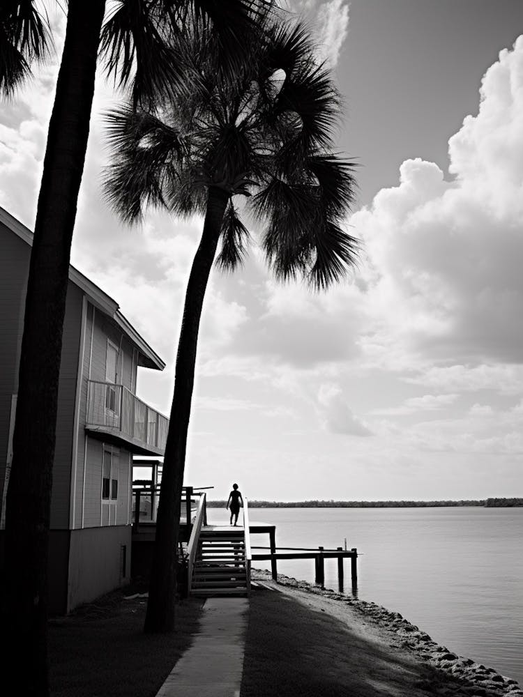 Florida, Black And White Analogue Photograph 1