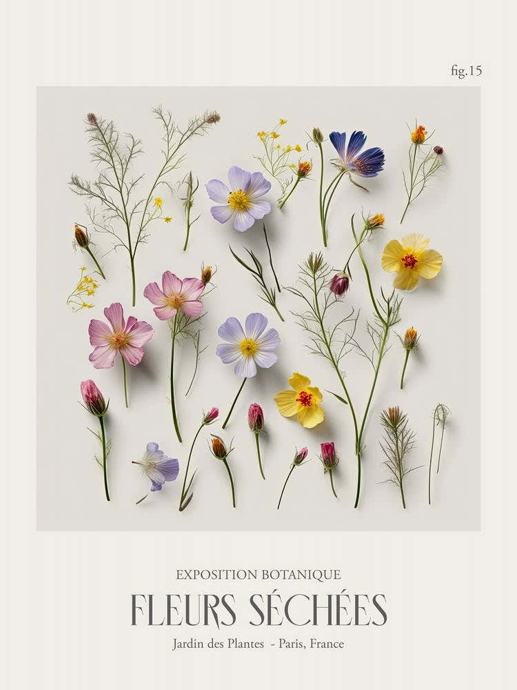 Fleurs Sechees, Dried Flowers Exhibition Poster 15