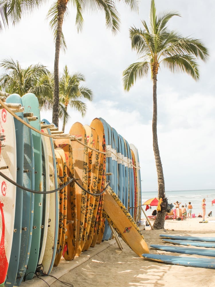 Surfboards On Beach