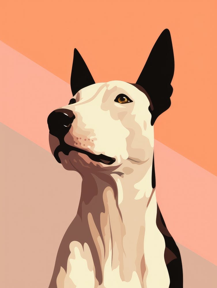 Bull Terrier