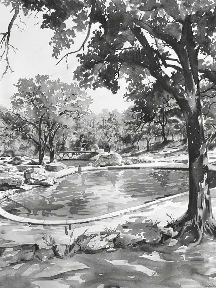 Barton Springs Pool Austin Texas Black And White Watercolour 3