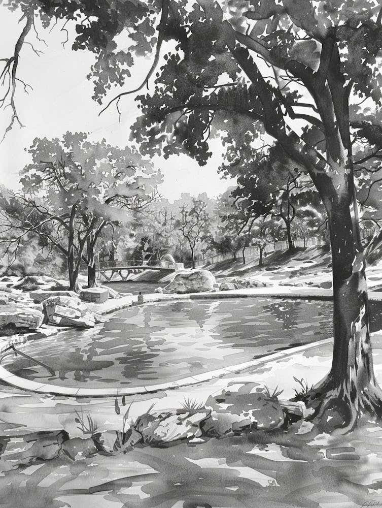 Barton Springs Pool Austin Texas Black And White Watercolour 3