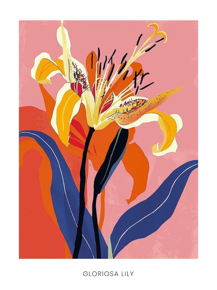 Colourful Flower Illustration Poster Gloriosa Lily 1