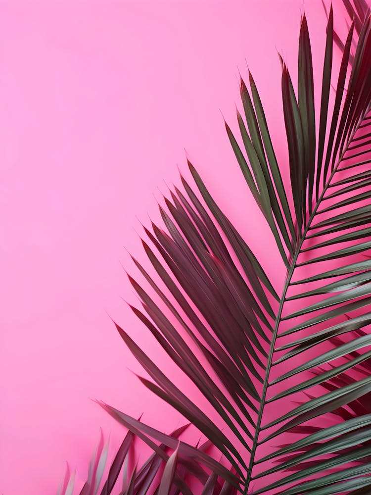 Pink Background With Palm Leaves