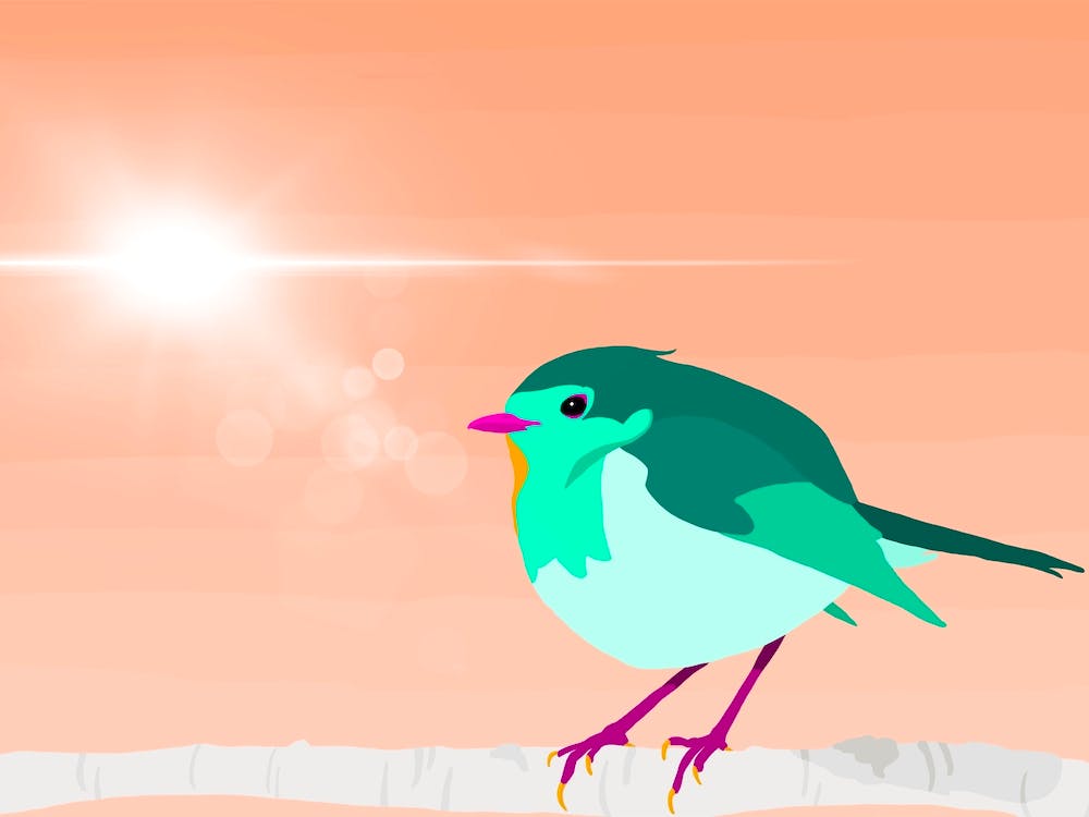 Put a Bird on it - Bird On A Branch 1
