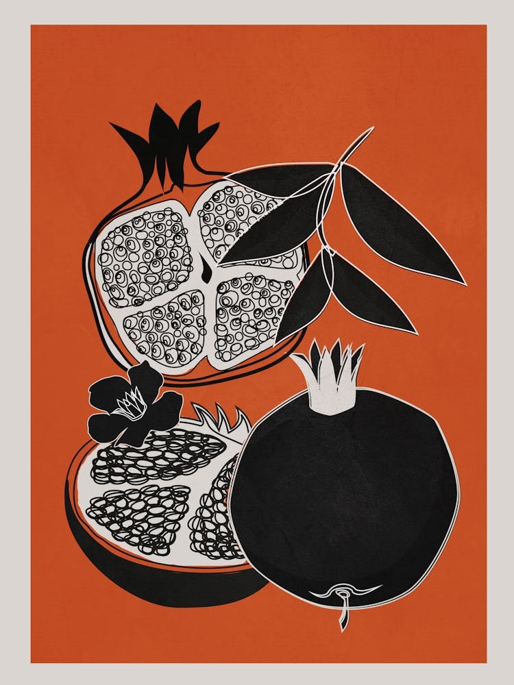 Line Art Pomegranates 1