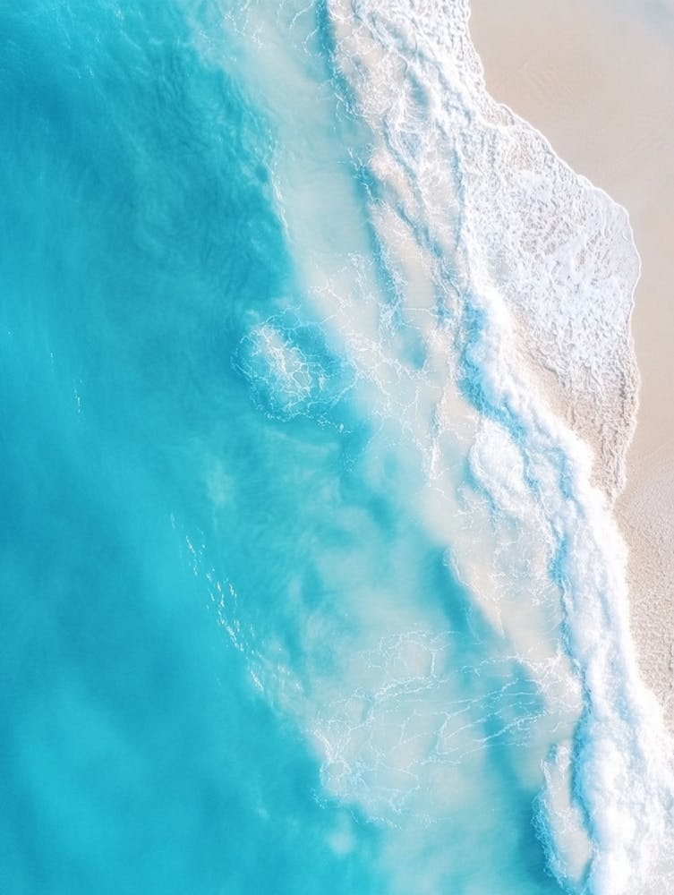 Aerial View Of The Beach 15