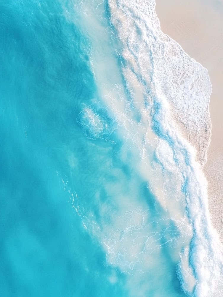 Aerial View Of The Beach 15