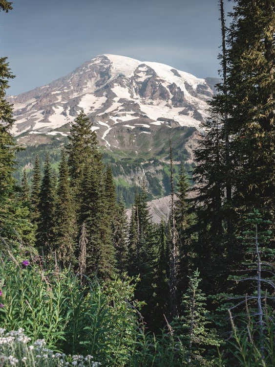 The Path To Heaven - Mount Rainier National Park