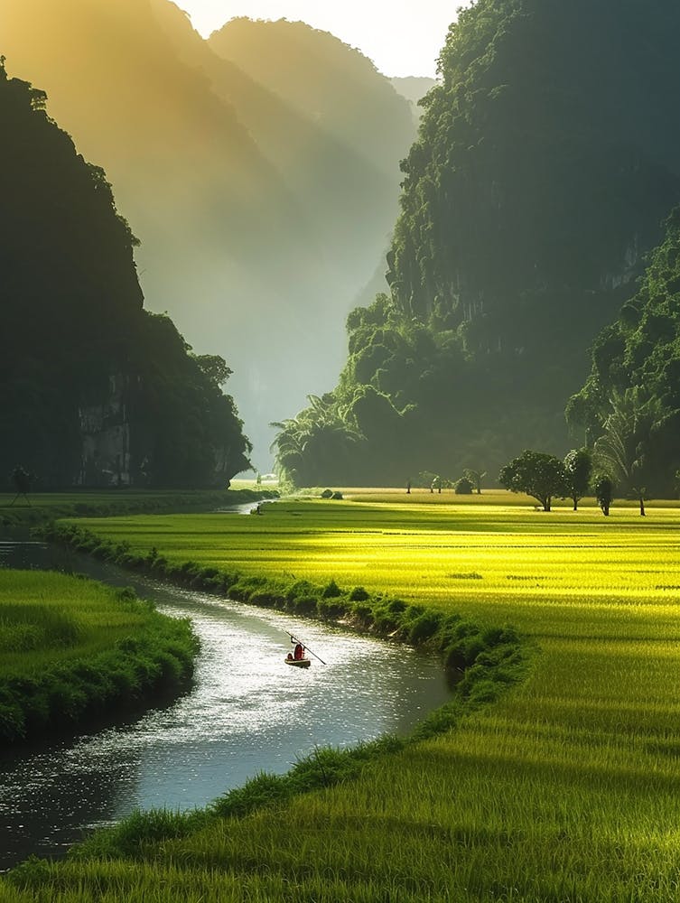 Rice Paddy River