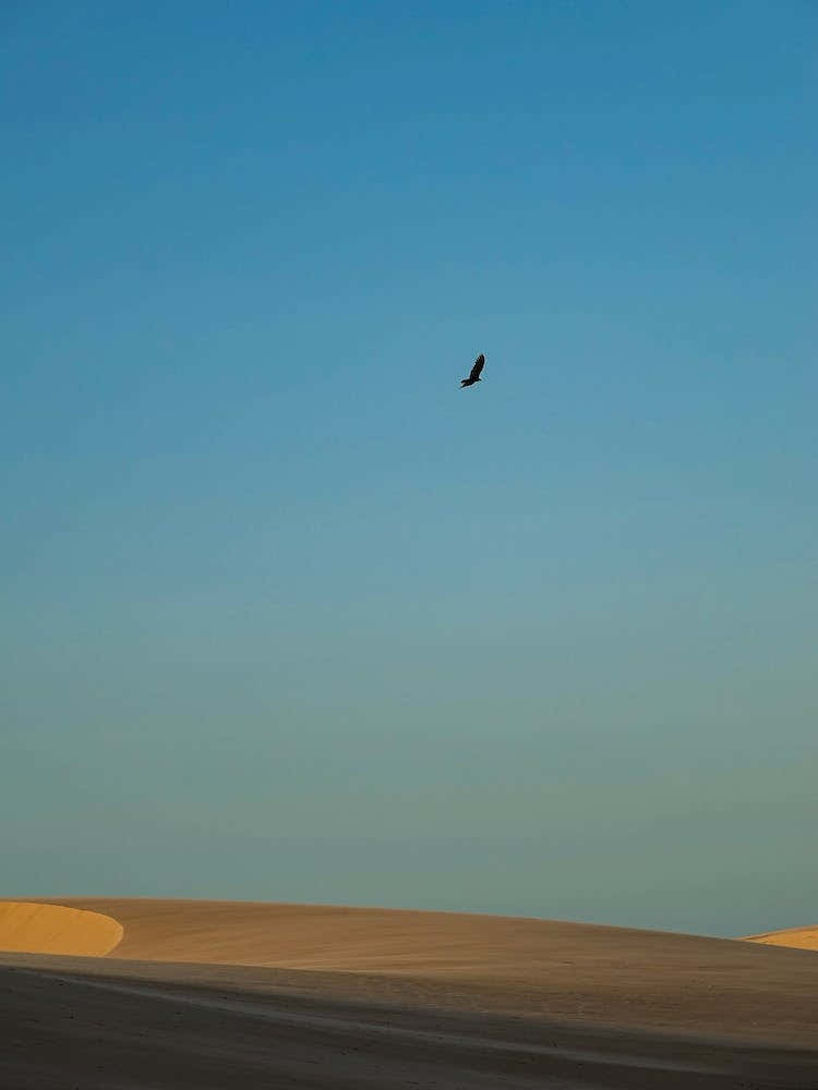Wind Sculpted Sand Dunes, Piauí, Brazil