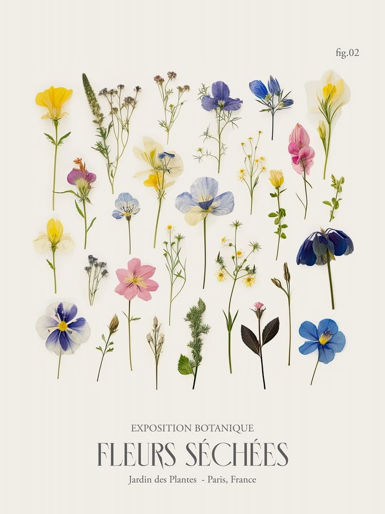 Fleurs Sechees, Dried Flowers Exhibition Poster 02