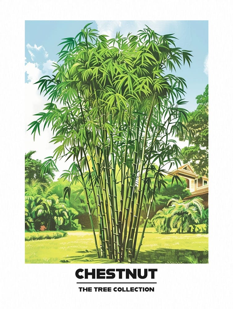 Chestnut Tree Storybook Illustration 2 Poster