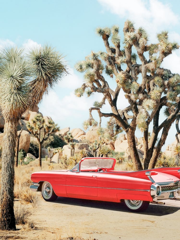 Vintage Road Trip