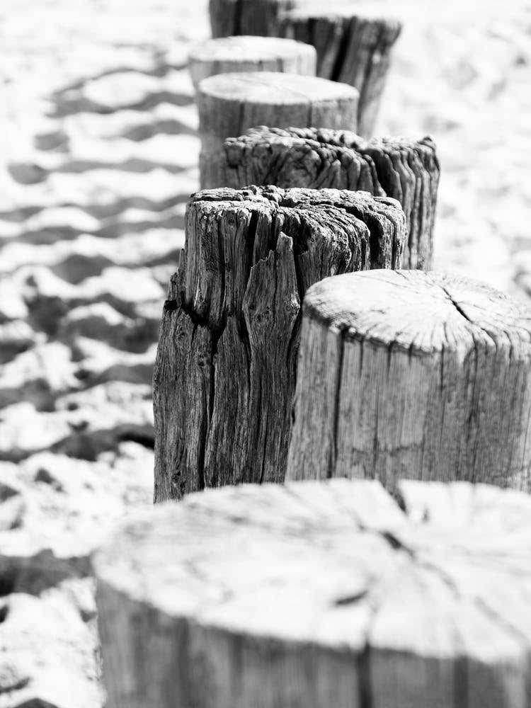 Row of Dutch pile heads on the beach // Travel Photography