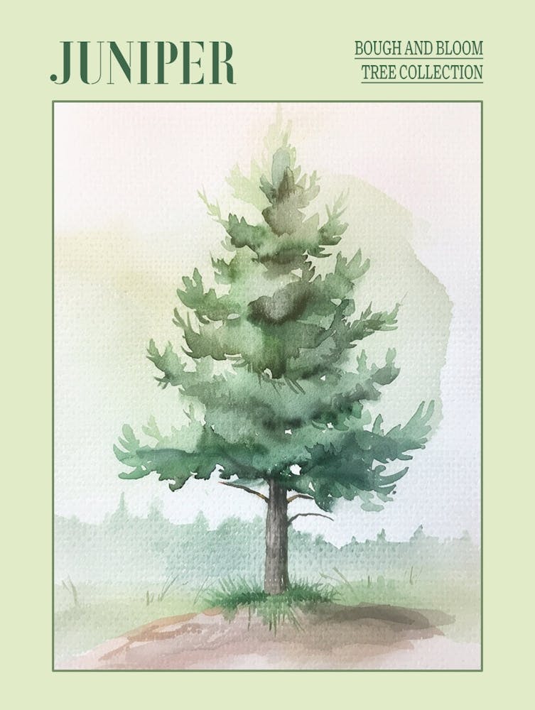 Juniper Tree Atmospheric Watercolour Painting 4 Poster