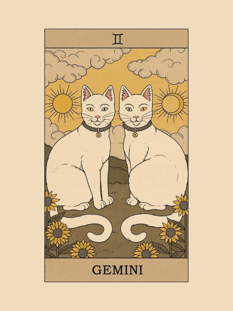Gemini Cat