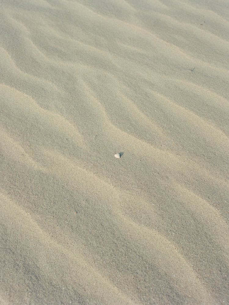 Sullivan's Island VI on Film