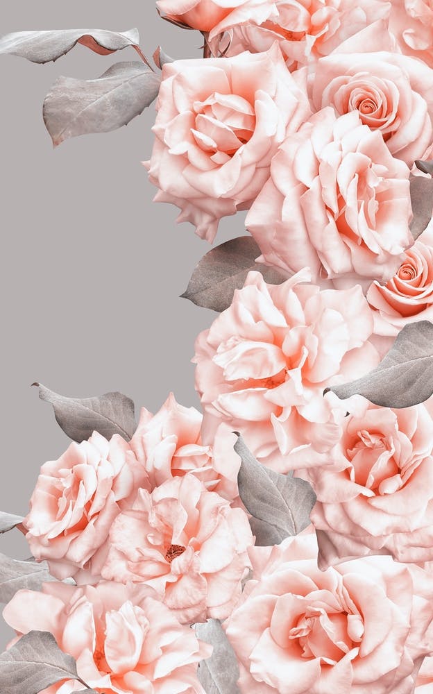 Vintage Summer Peach Rose Blossoms Garden