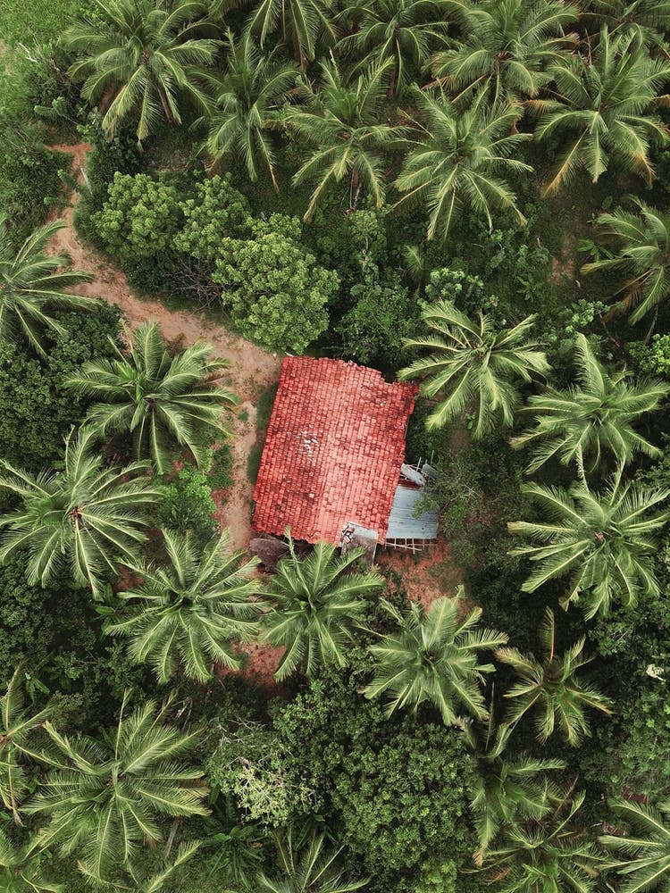 Sri Lanka Jungle House