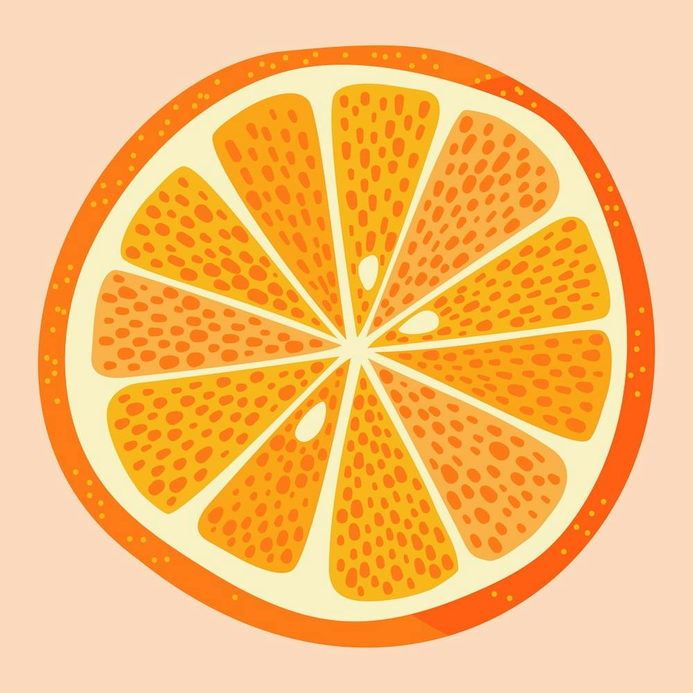 Citrus Orange Fruit Slice