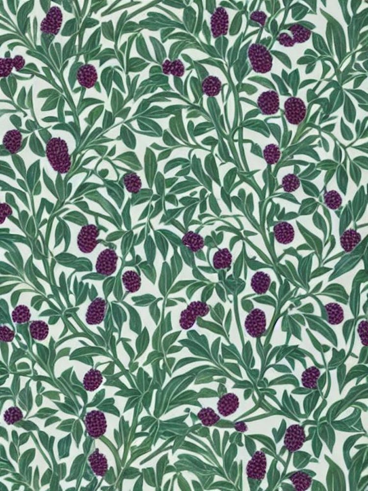 Boysenberry Vintage Botanical Fruit