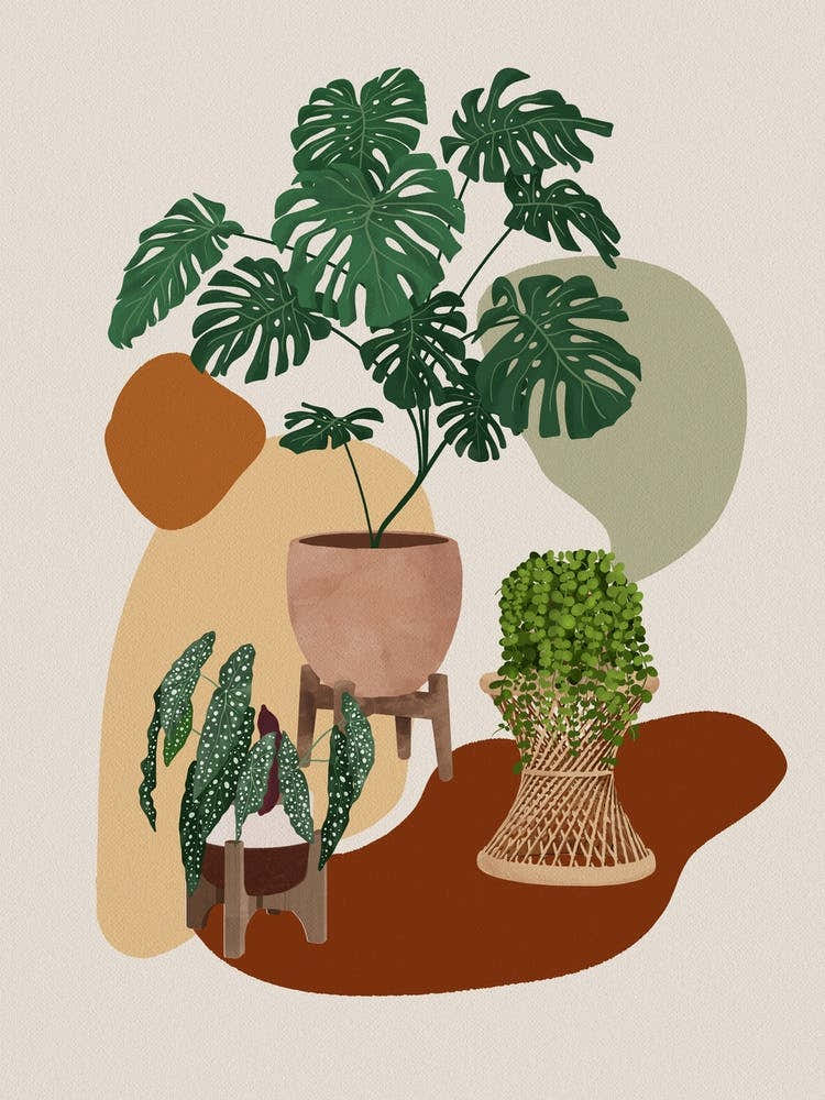 Modern Boho Plants 1
