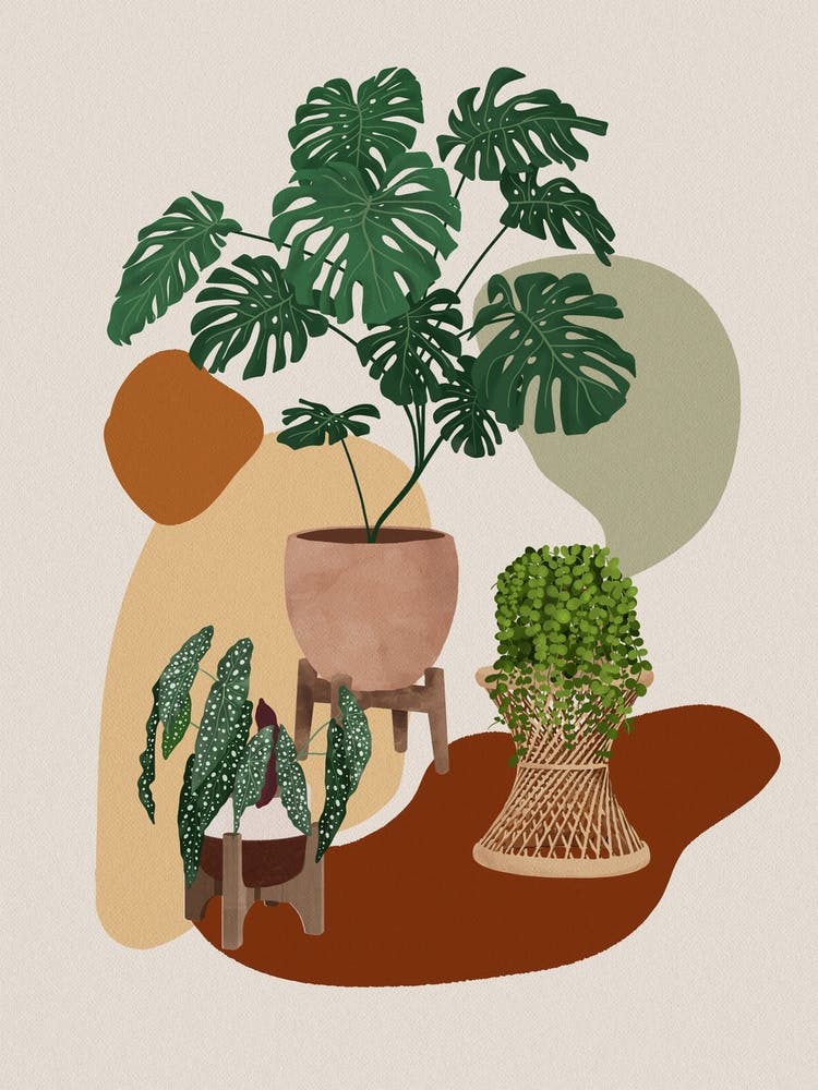 Modern Boho Plants 1