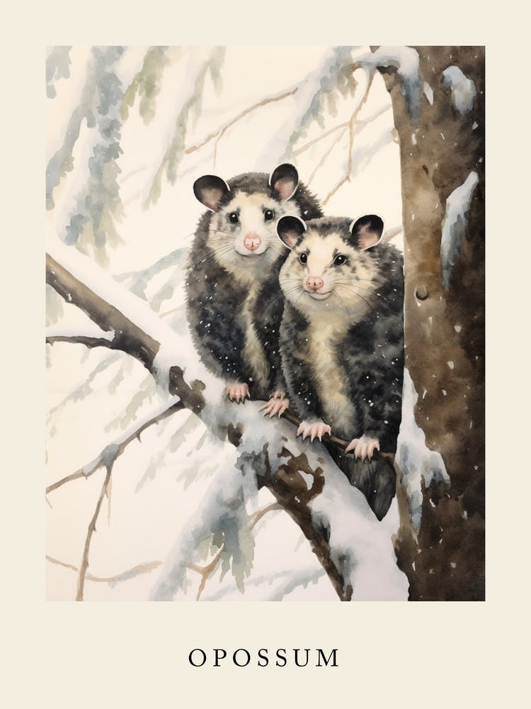Winter Watercolour Opossum 1 Poster