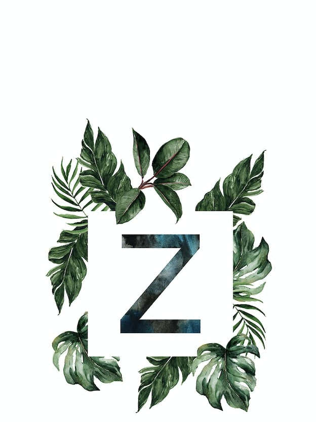 Botanical Alphabet Z