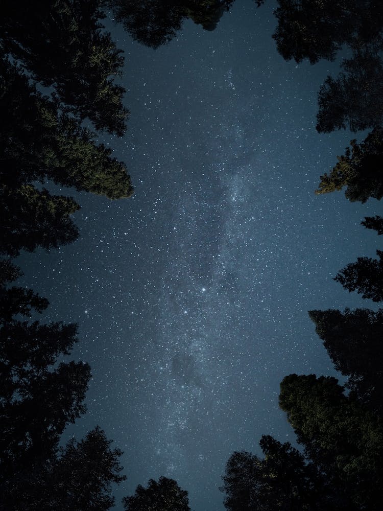 Mania Landscapes Raw 21 Kings Canyon (USA)