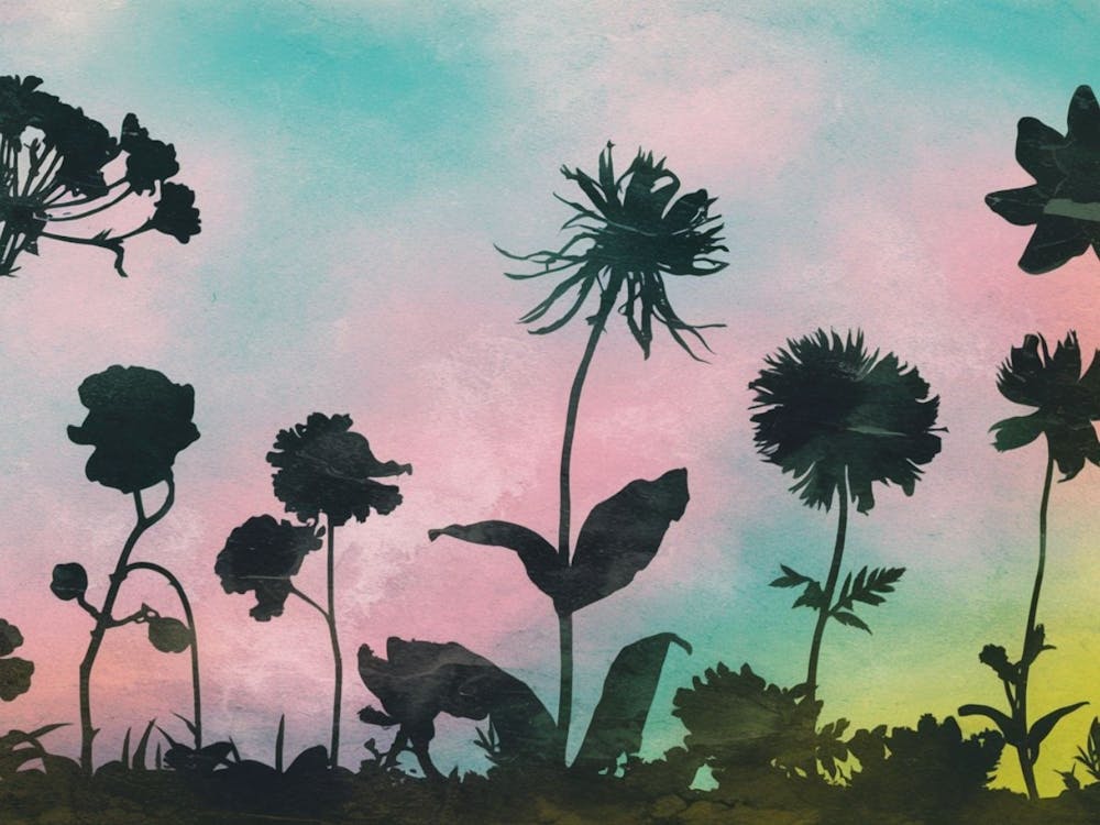 Garden flowers Silhouettes - Ethereal Botanical
