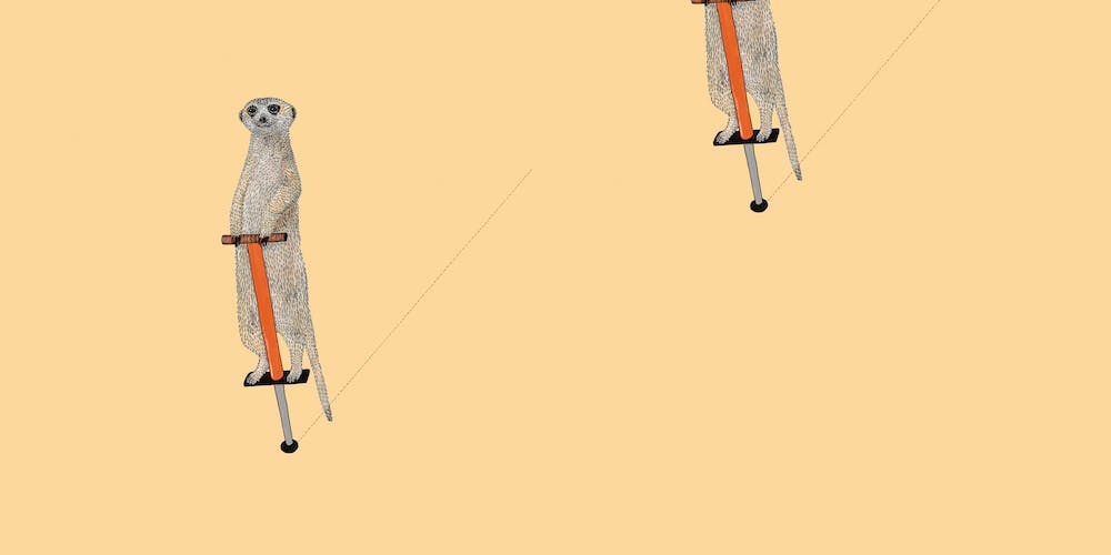 Meerkat On A Pogo Stick