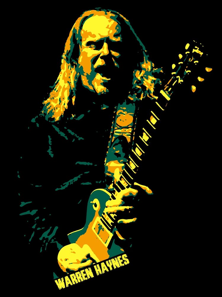 Warren Haynes Music Legend In Pop Art Illustration